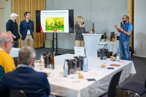 RP FECOMSI masterclasses 2024