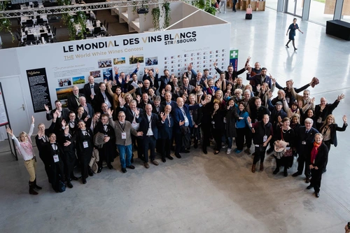 groupe des juges 2024