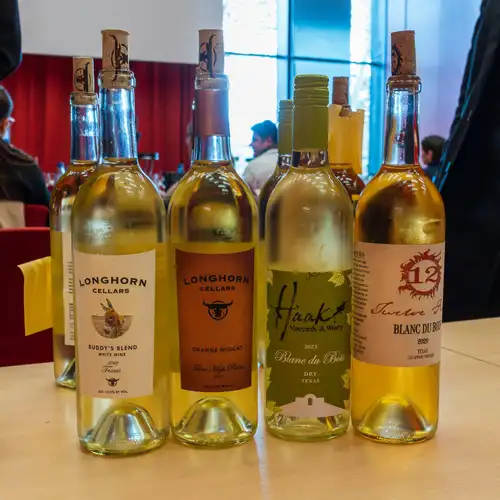 Vins