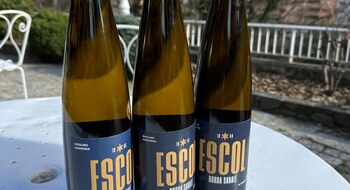 Riesling_ESCOL_Bordasabate