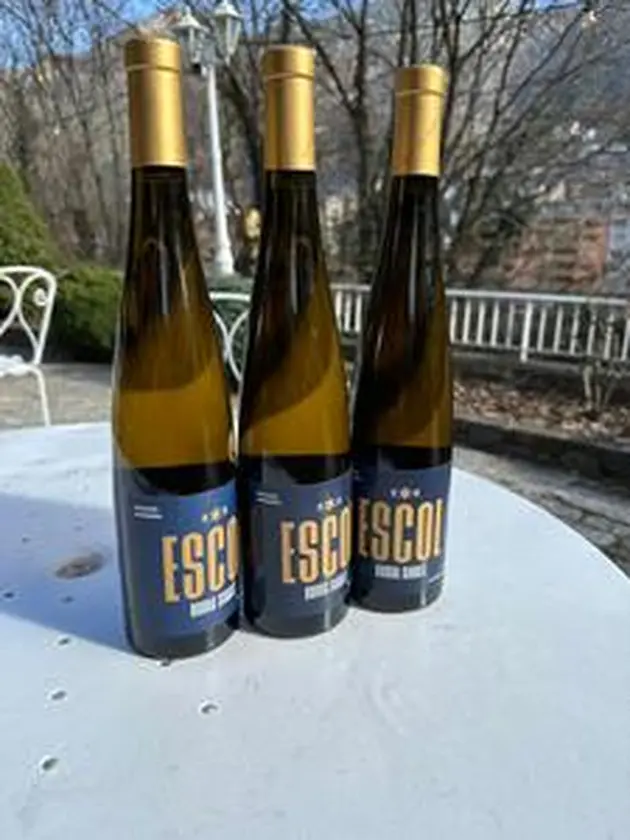 Riesling_ESCOL_Bordasabate