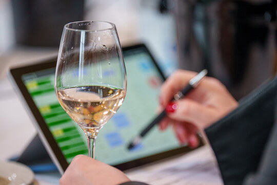 European Red & Rosé