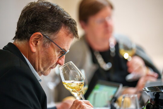 Mondial des Vins Blancs 2024